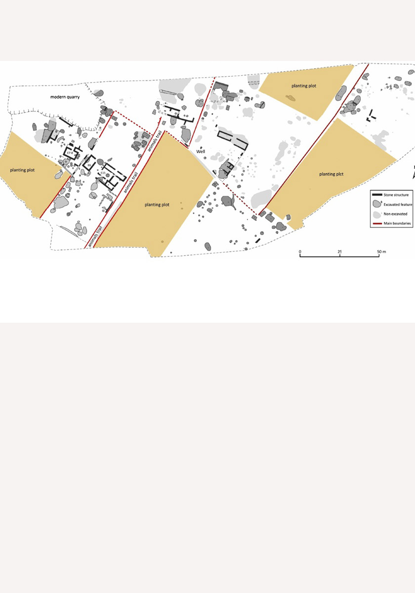 Productive strategies and consumption patterns in the Early Medieval village of Gózquez- Madrid