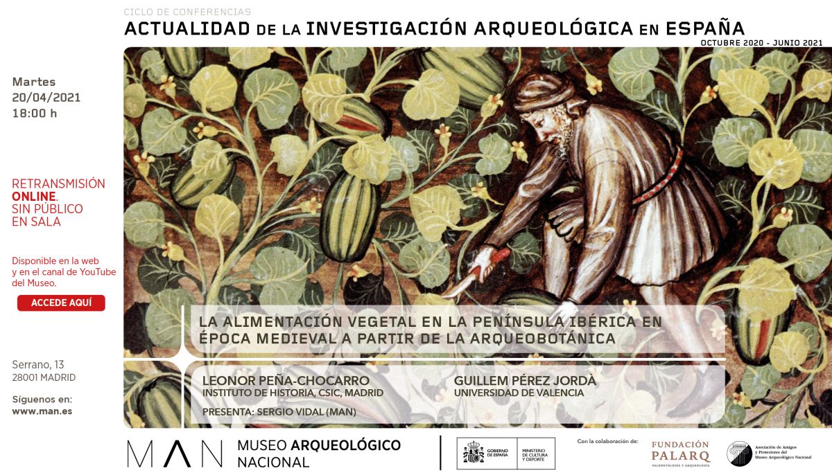 ALIMENTACION
