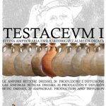 TESTACEVMI