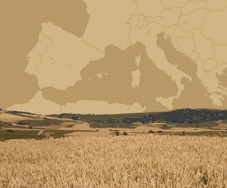 Captura de pantalla