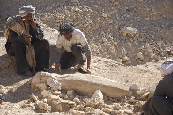 LA ARQUEOLOGIA EN EL CSIC NOVIEMBRE
